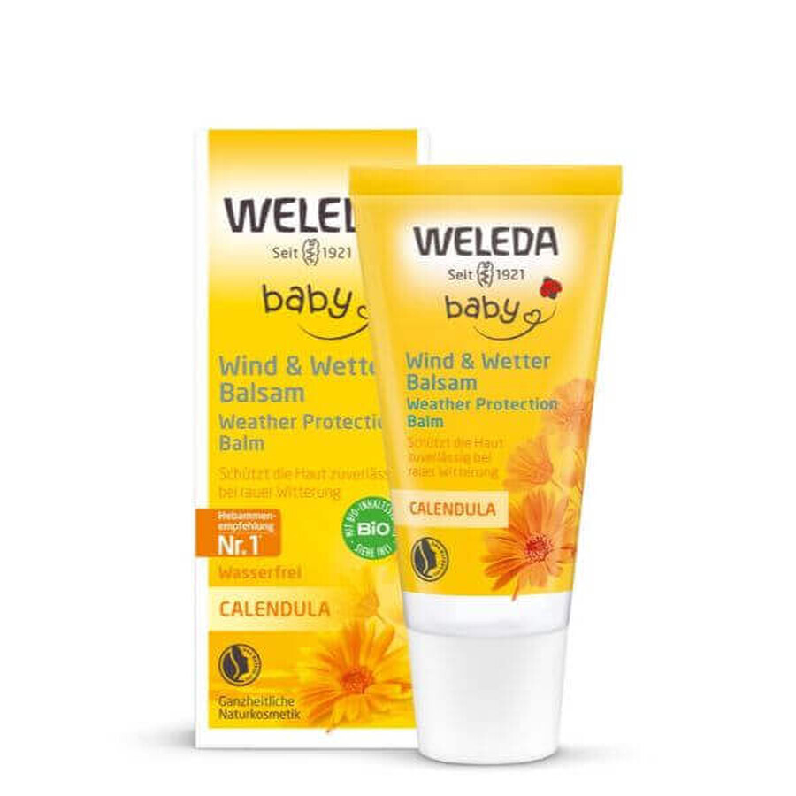 Balsamo di protezione intensiva contro vento e freddo per neonati, 30 ml, Weleda