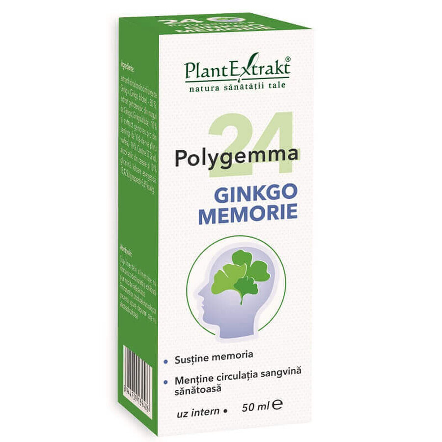 Polygemma 24 Ginkgo Memory, 50 ml, PlantExtrakt