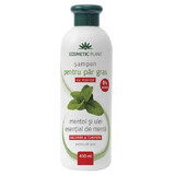 Shampoo per capelli grassi con mentolo e olio essenziale di menta, 400 ml, pianta cosmetica