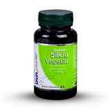 Silicio vegetale, 60 capsule, Dvr Pharm