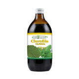 Succo di clorofilla bio, 500 ml, Health Nutrition