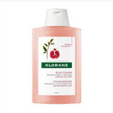 Shampoo Al Melograno Klorane 200ml