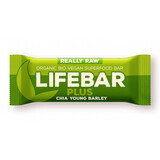Barretta cruda con chia e orzo verde, 47 g, Lifebar