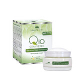 Crema da notte antirughe e tè verde Q10, 50 ml, pianta cosmetica