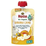 Purea di banana, mela, mango e albicocca, +6 mesi, 100 g, Holle Baby Food