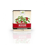 Tè al mirtillo rosso, 50 g, pianta di Dorel