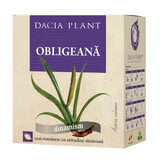 Obligean Tea, 50g Pianta Dacia