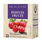 Tè di biancospino alla frutta, 50g, Dacia Plant