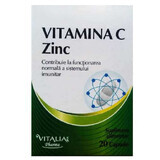 Vitamina C 320 mg con zinco 5 mg, 20 cps, Viva Pharma