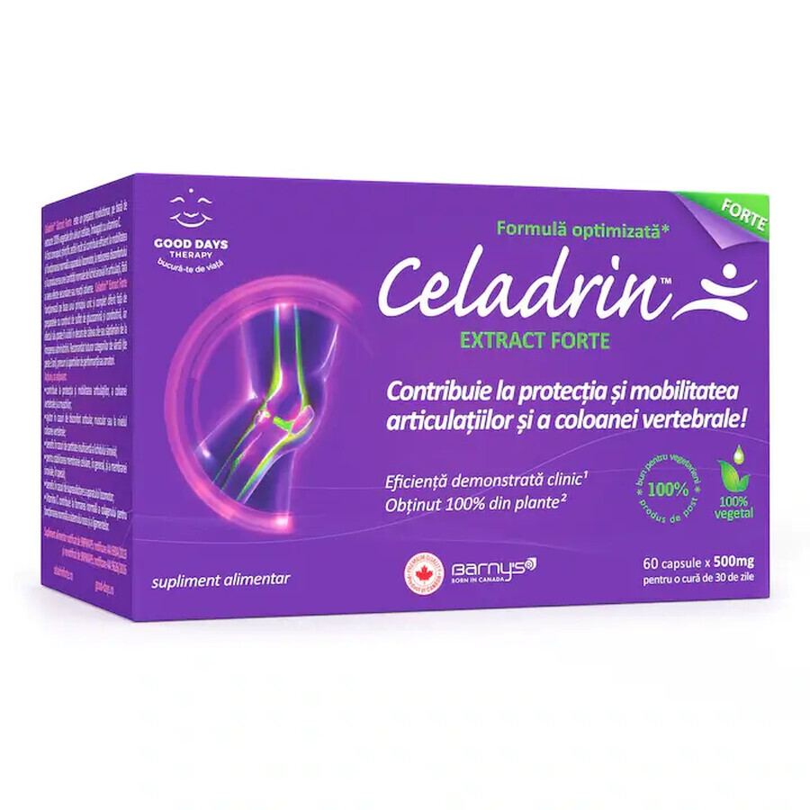 Celadrin Extract Forte 500 mg, 60 capsule, Good Days Therapy recensioni