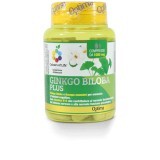 Ginkgo Biloba Plus Colours Of Life® Optima Naturals 60 Compresse