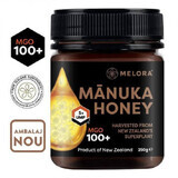 Miele naturale di Manuka MGO 100+, 250 g, Melora