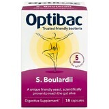Probiotic Saccharomyces Boulardii, 16 capsule, OptiBac