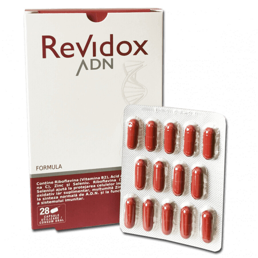 Revidox DNA, 28 capsule, Actafarma