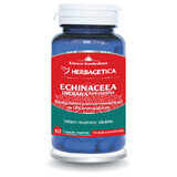 Echinacea Indiana, 60 capsule, Herbagetica