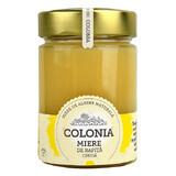 Miele di colza grezzo, 420 g, Colonia