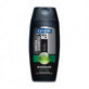 GENERA Shampoo e gel doccia rigenerante 300 ml - 2812145