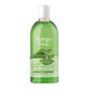 Gel doccia con estratto di succo di aloe vera biologico al 90%, 200 ml, Bottega Verde