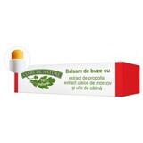 Balsamo per labbra con estratto di propoli, carota e olivello spinoso 4,8 g, Verre de Nature