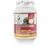 Mangostano Plus Con Fungo Shiitake E Zinco Colours Of Life® Optima Naturals 60 Compresse
