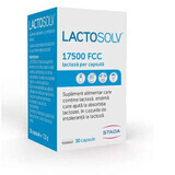 Lactosolv, 30 capsule