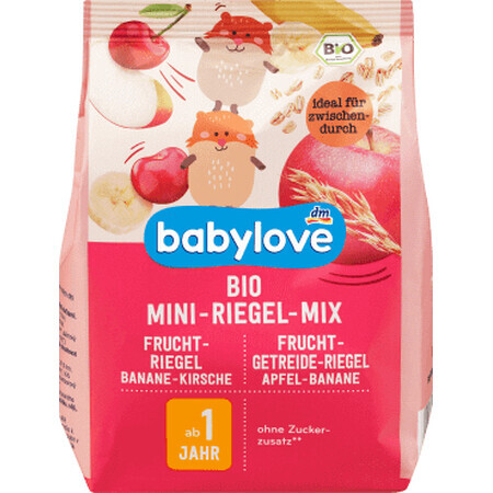 Babylove Mix barretta di frutta bio mini 1 anno, 100 g