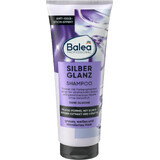 Shampoo per capelli grigi, 250 ml, Balea Professional