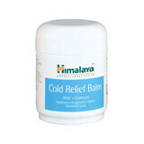 Decongestionante nasale Cold Relief, 50 ml, Himalaya